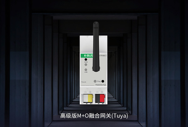 首页- k8凯发集团中国官方网站